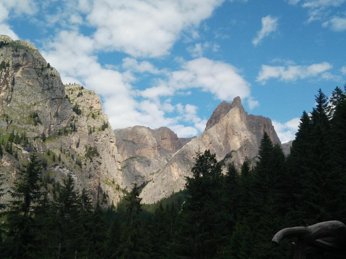 Chalet Tschogerhof Tiers Am Rosengarten Dolomiten 외부 사진